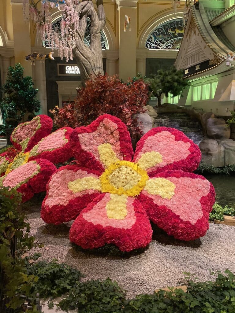 Bellagio Conservatory August 2020 Display - Japanese Theme - a flower made out of flowers