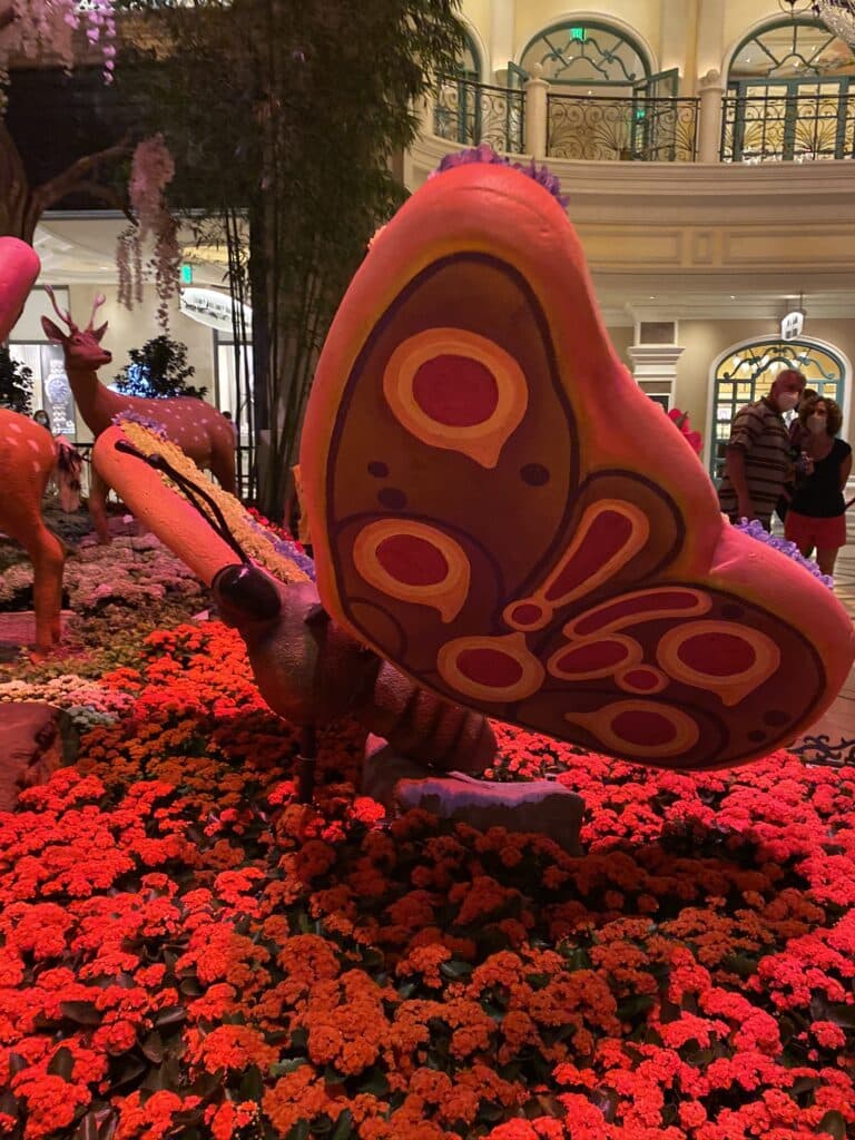 Bellagio Conservatory August 2020 Display - Japanese Theme - butterfly made out of flowers