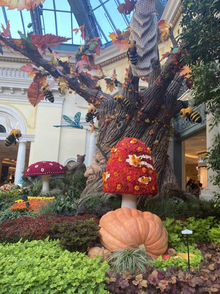 Bellagio Conservatory October 2020 Display - Fall Theme - Tree with falling leaves, bees, mushrooms, and pumpkins