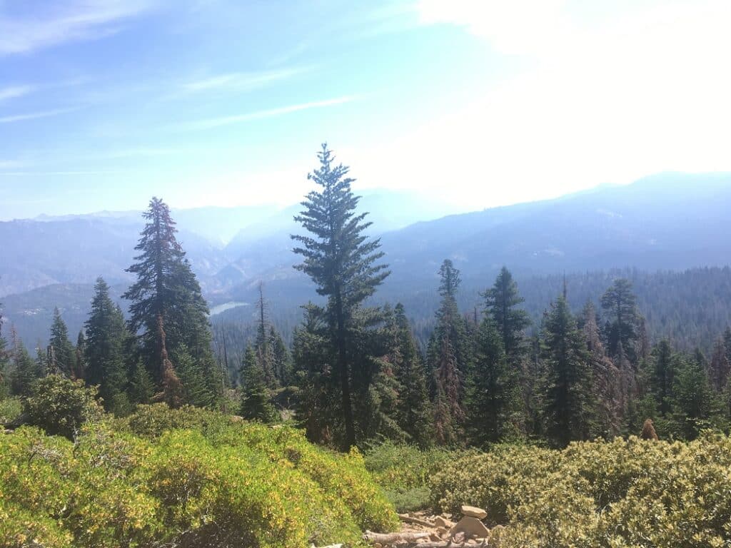 Sequoia National Park Overlook