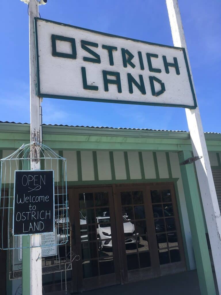 Ostrichland, U.S.A. - Solvang, California