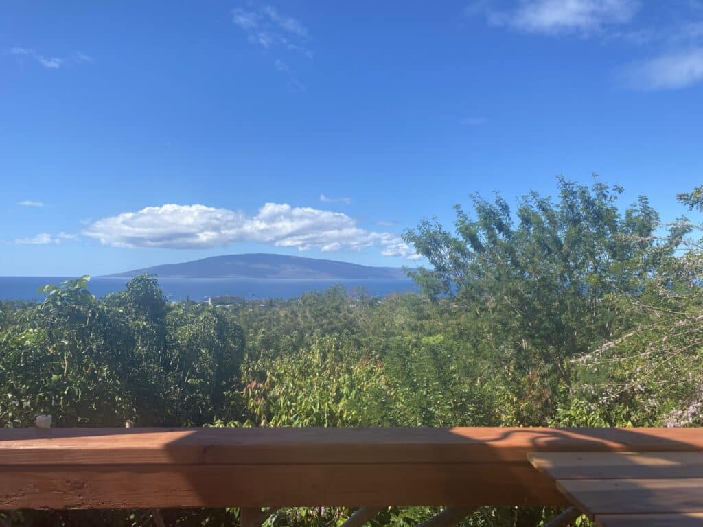 Maui Ku'ia Estate Cacao Farm and Chocolate Tasting Tour - treehouse views