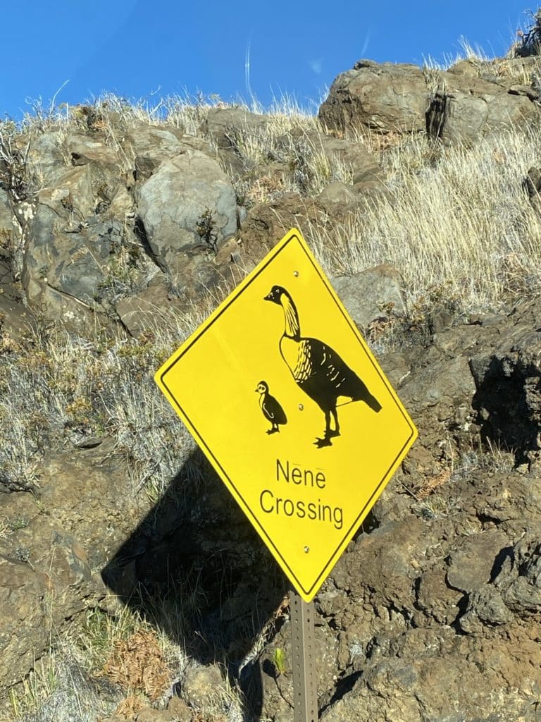 Haleakala National Park - Nene Crossing road sign