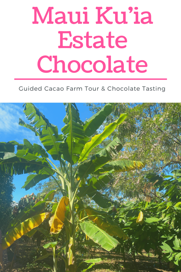 Best Maui Chocolate Tour: Cacao Farm & Chocolate Tasting (2024)
