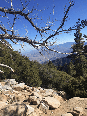 views from Mount San Jacinto