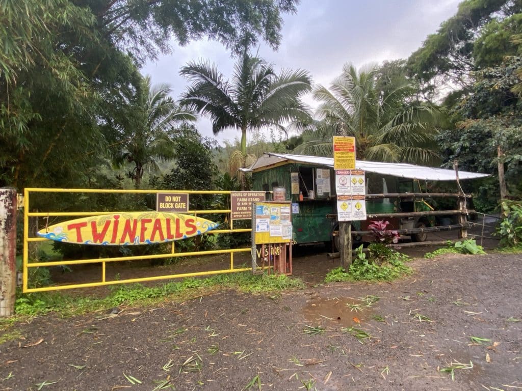 Twin Falls - Road to Hana - Maui