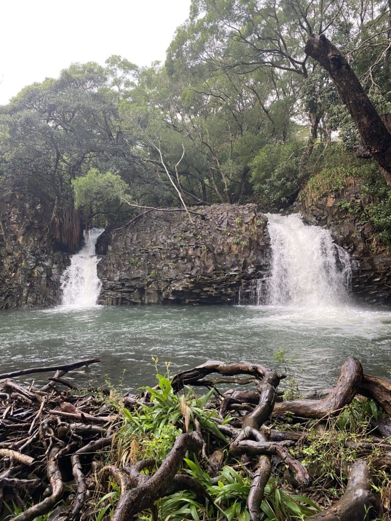 Twin Falls - Road to Hana - Maui