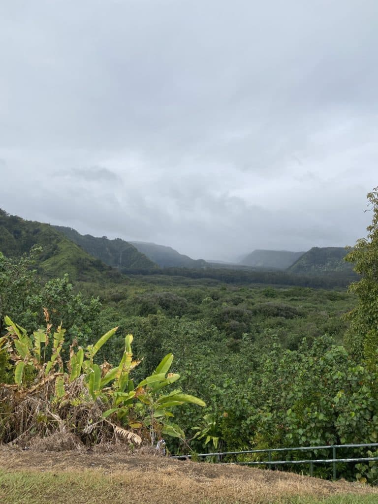 Wailua Valley State Park - Road to Hana - Maui