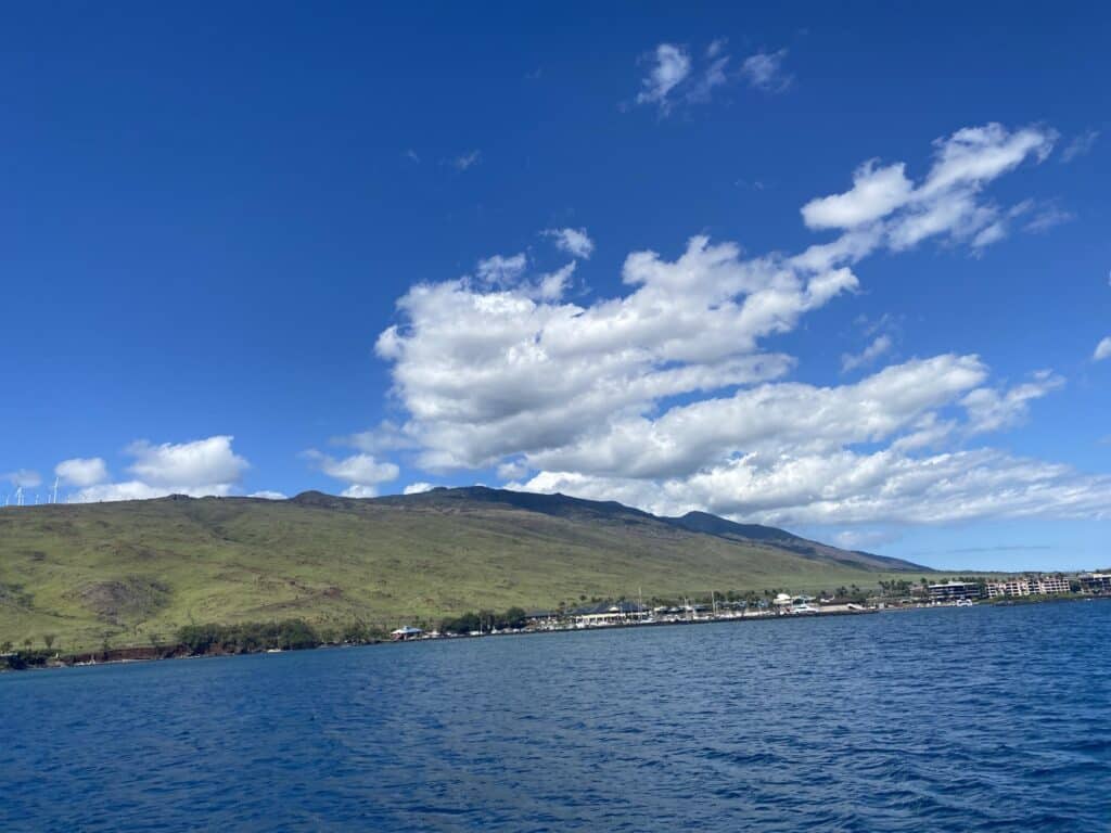 Maui Whale Watching Tour
