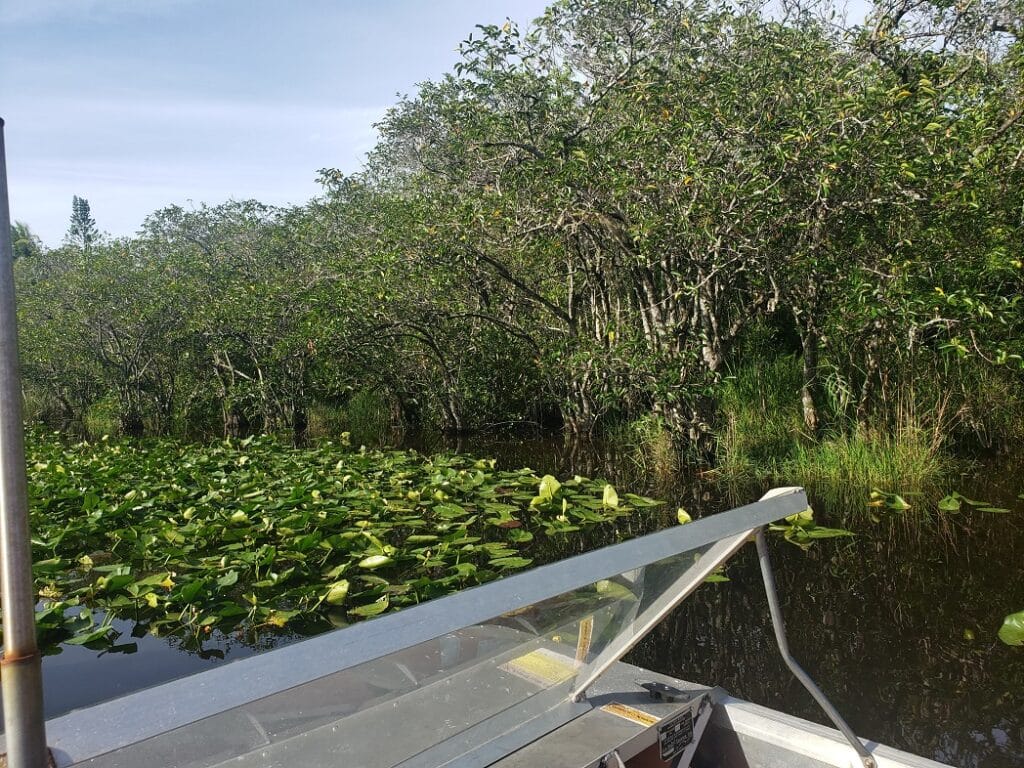 Everglades National Park airboat tour