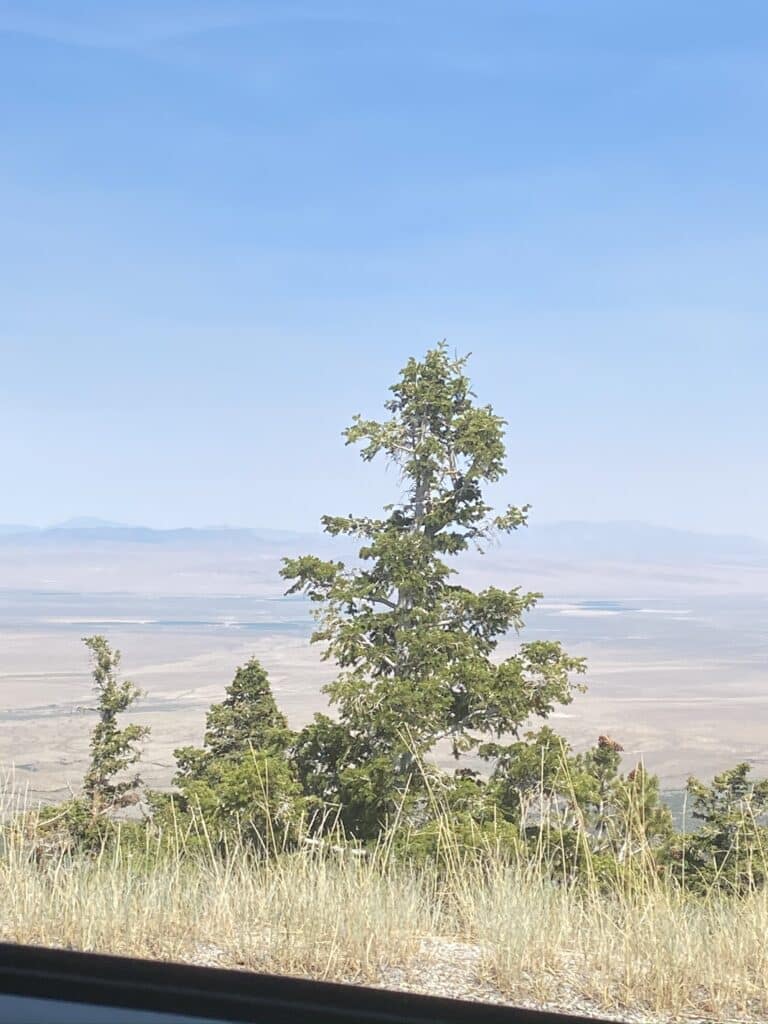 Great Basin National Park overlook