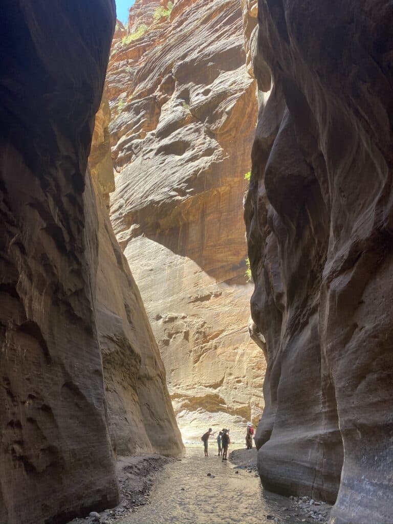 The Narrows hike at Zion National Park