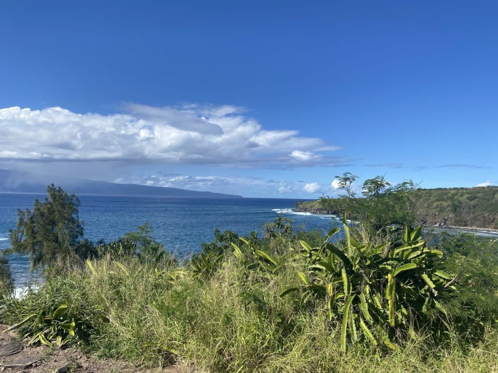 Honolua Bay, Maui 