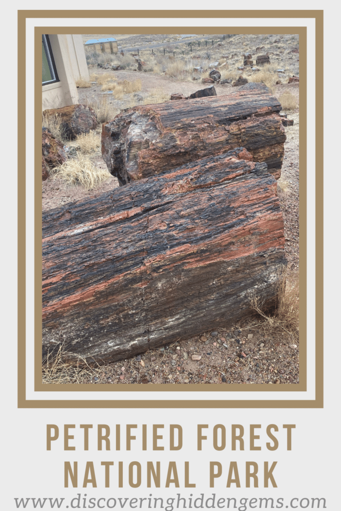 Petrified Forest National Park One Day Itinerary