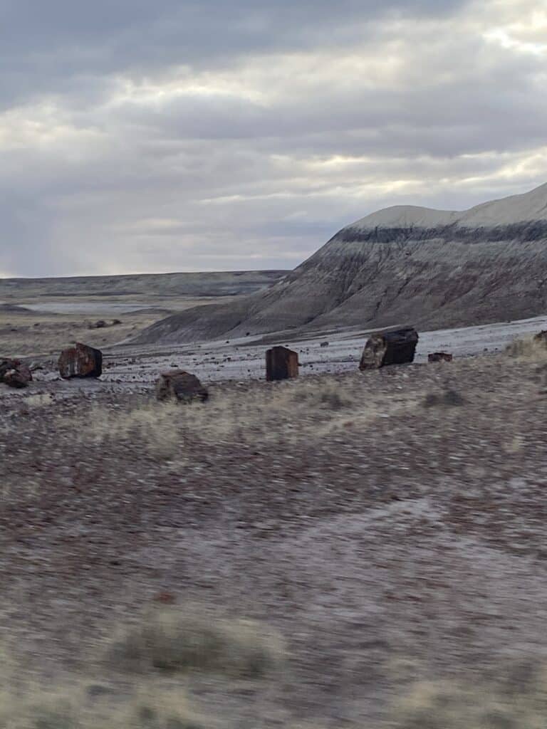Petrified Wood on the side of the road at Petrified Forest National Park