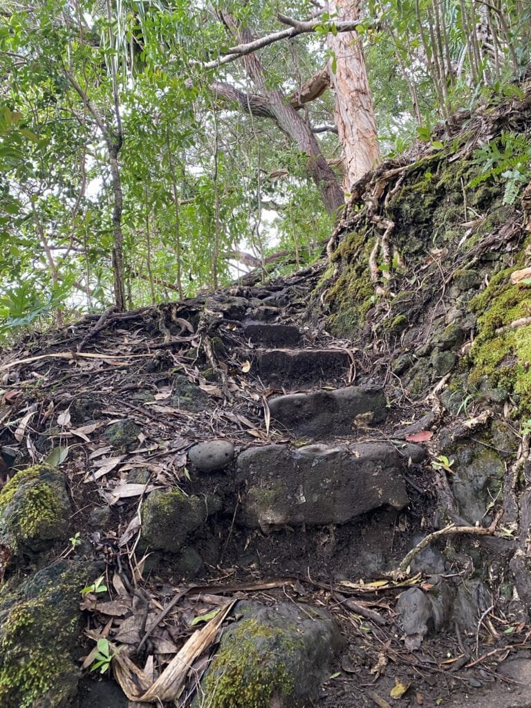 stairs along the Waikamoi Natural Trail