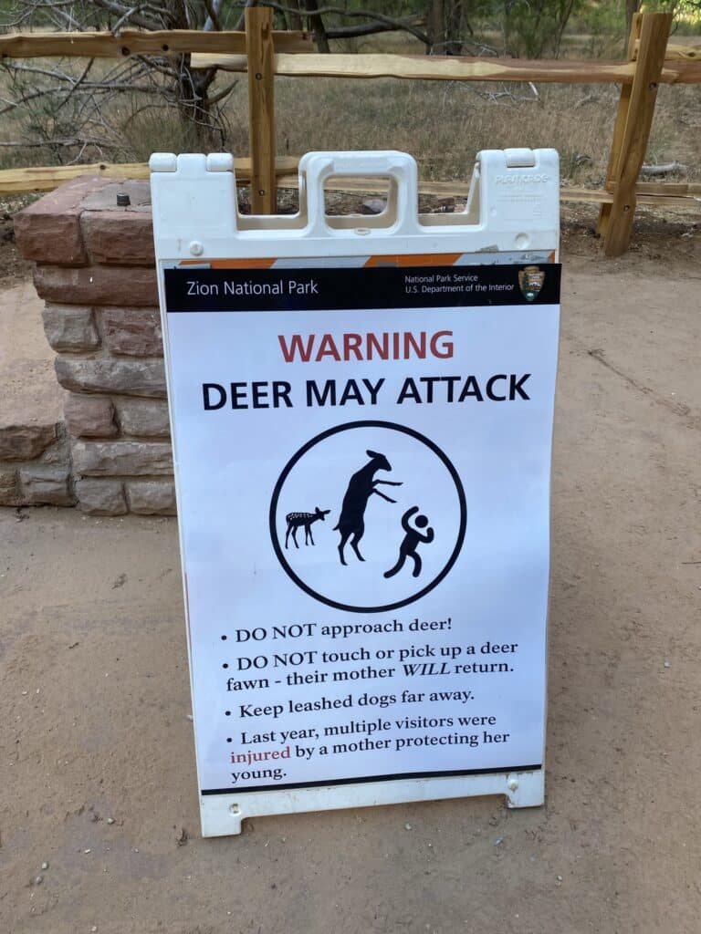 Deer May Attack warning sign at The Narrows