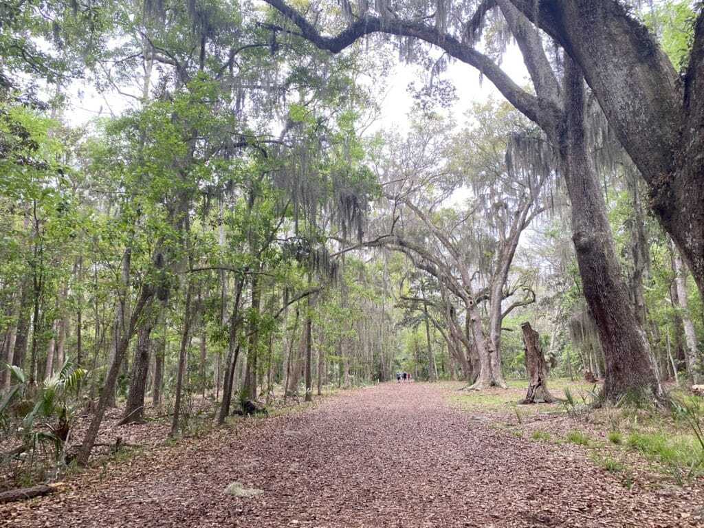 Wormsloe State Historic Site in Savannah, Georgia - walking trail