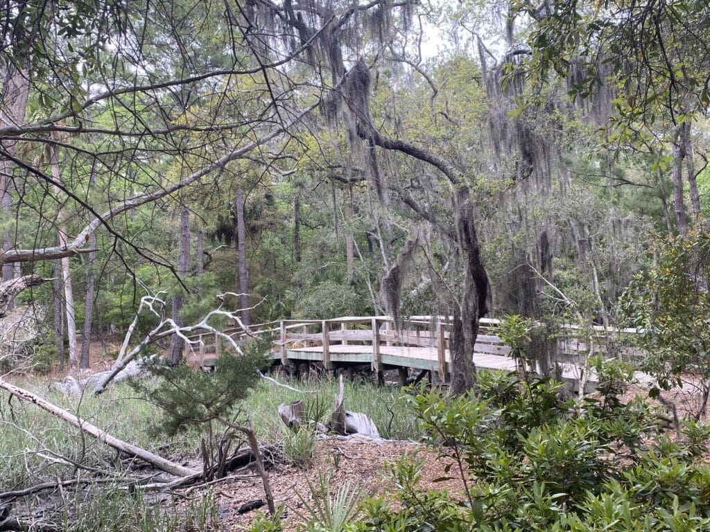 Wormsloe State Historic Site in Savannah, Georgia - boardwalk trail