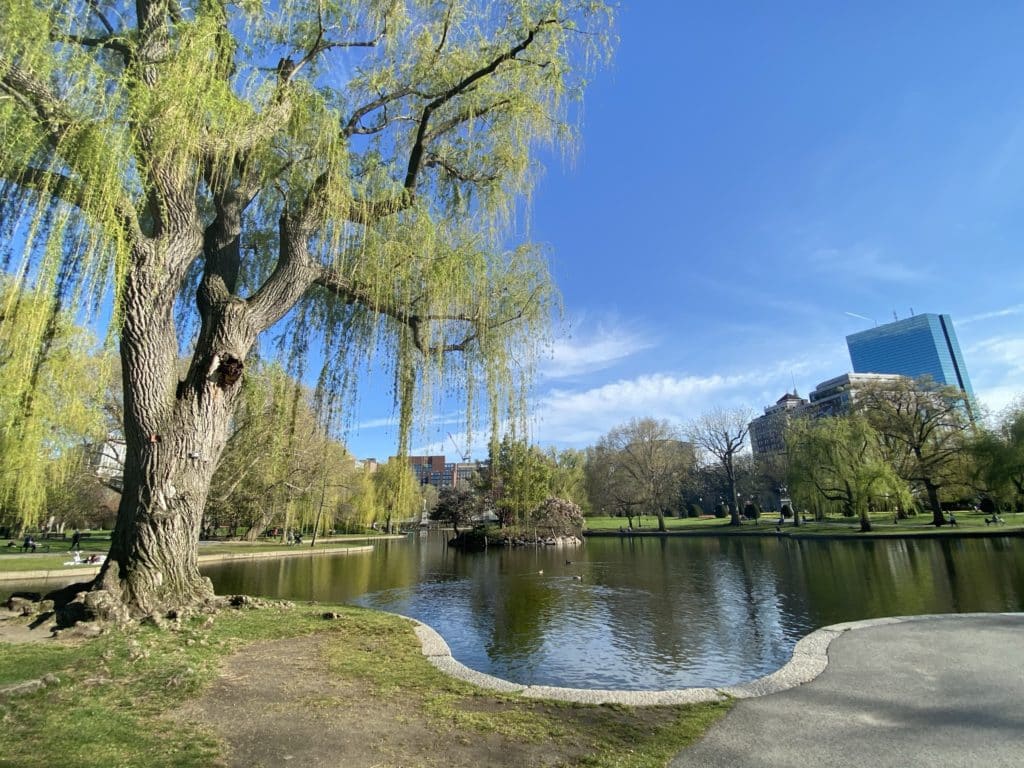 Boston Common park in Boston