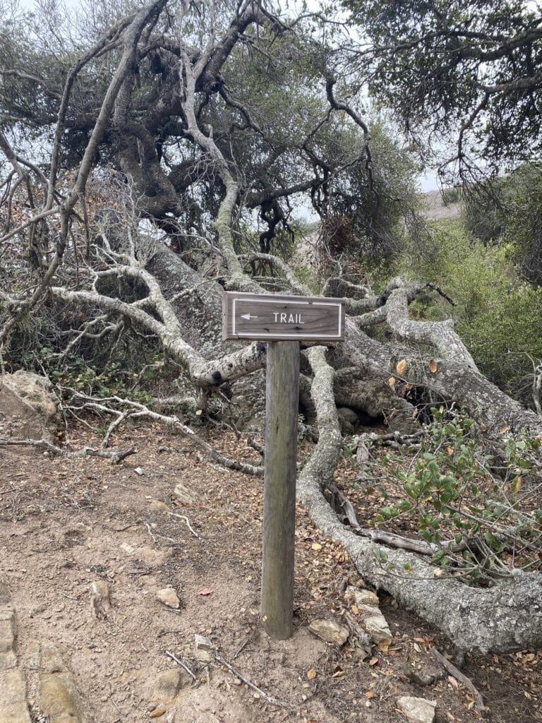 Cherry Canyon Hike on Santa Rosa Island