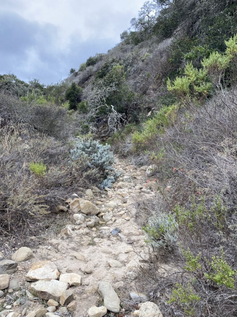 Cherry Canyon Trail hike at Santa Rosa Island