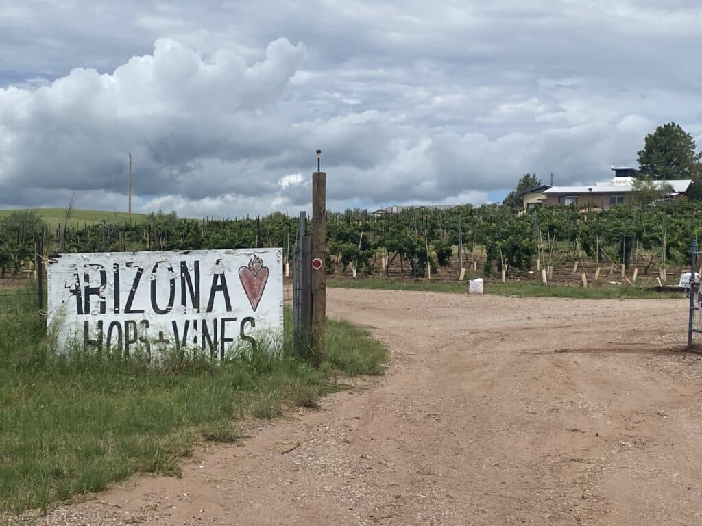 Arizona Hops + Vine Wine Tasting in Sonoita