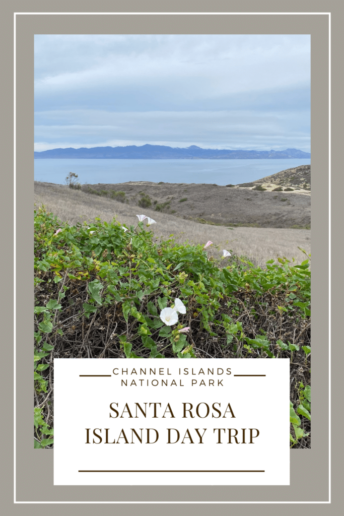 Santa Rosa Island Day Trip - Channel Islands National Park