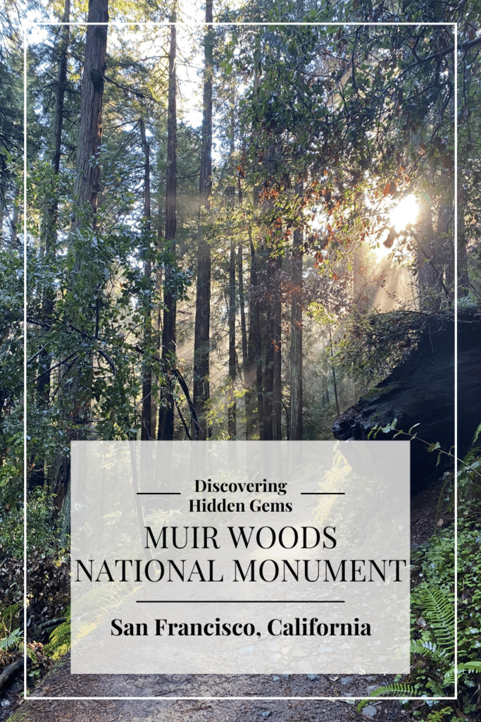Muir Woods National Monument San Francisco California