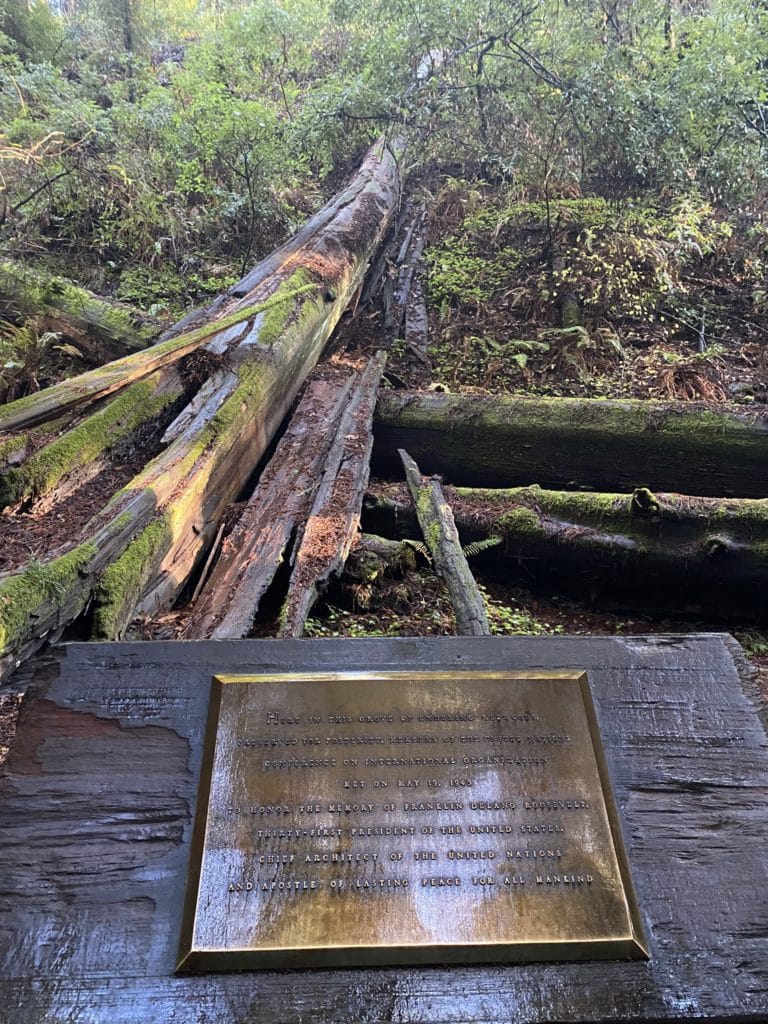 plaque at Muir Woods National Monument