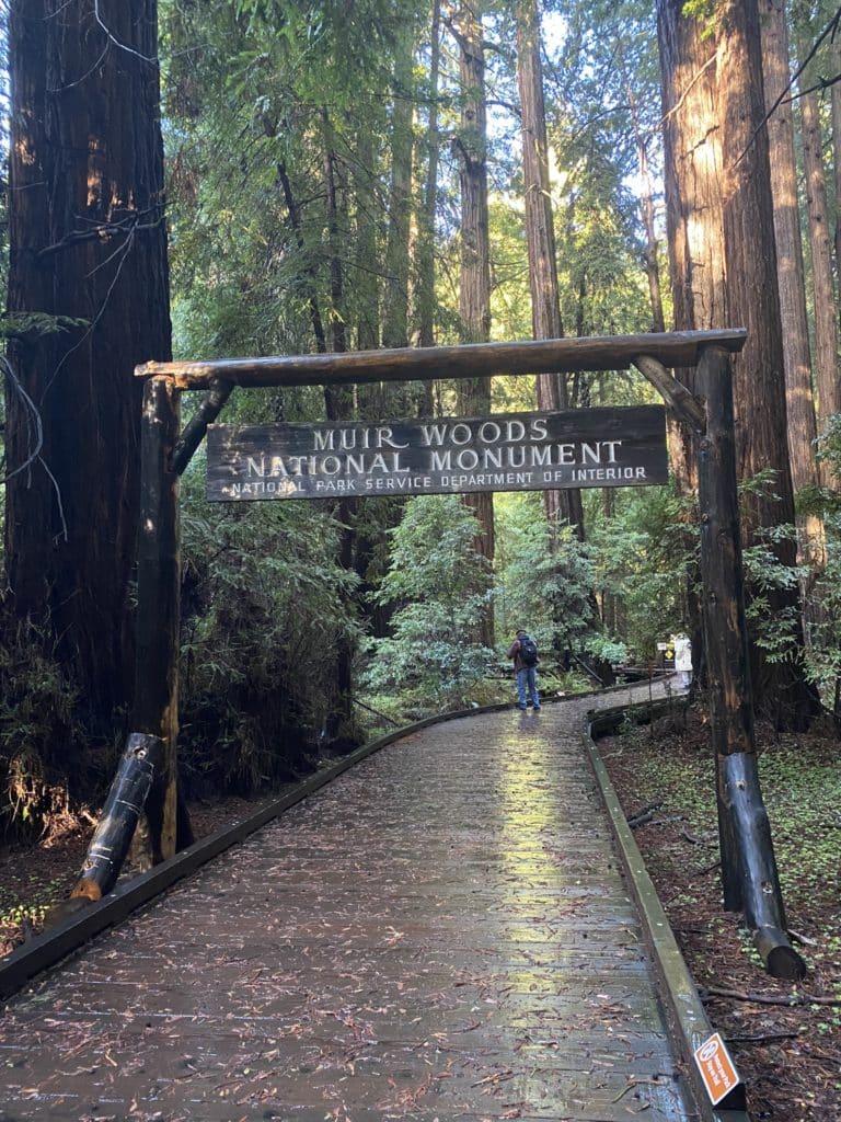 Muir Woods National Monument - epic California road trip itineraries