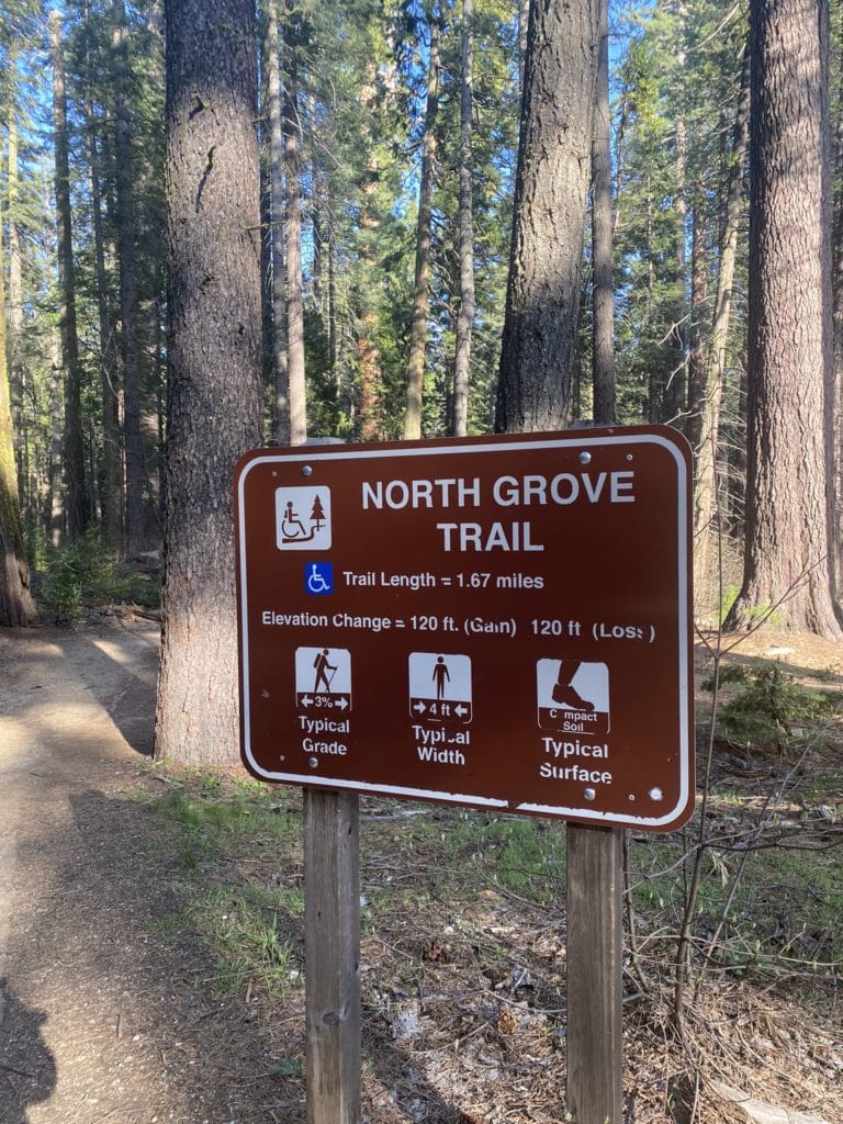 North Grove Trail at Big Trees State Park