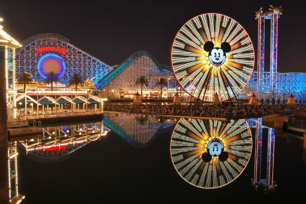 Disneyland Night Views