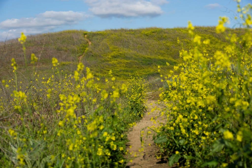 Orange County Hiking Trails - Free Things to Do in Orange County hidden gems in orange county