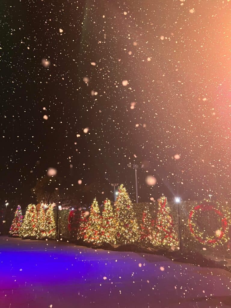 Winter Fest OC snow and Christmas trees