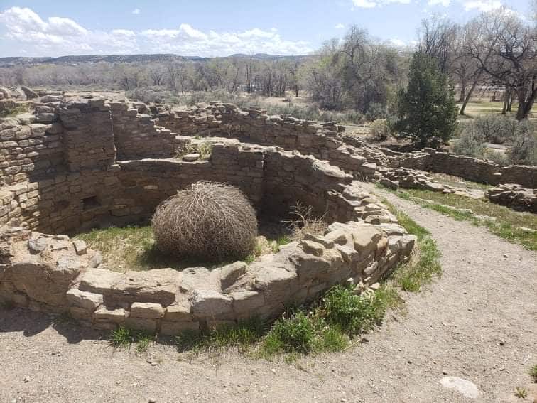 a tumbleweed inside of building ruins at Aztec Ruins National Monument