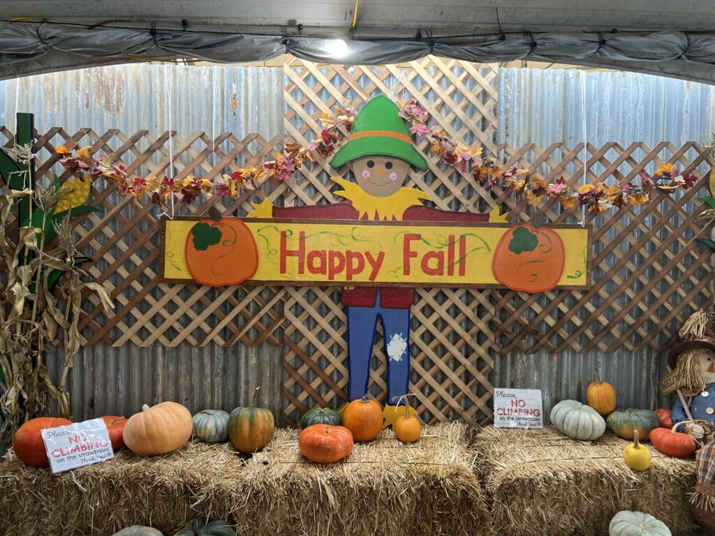 Tanaka Farms Pumpkin Patch "Happy Fall" Scarecrow Sign