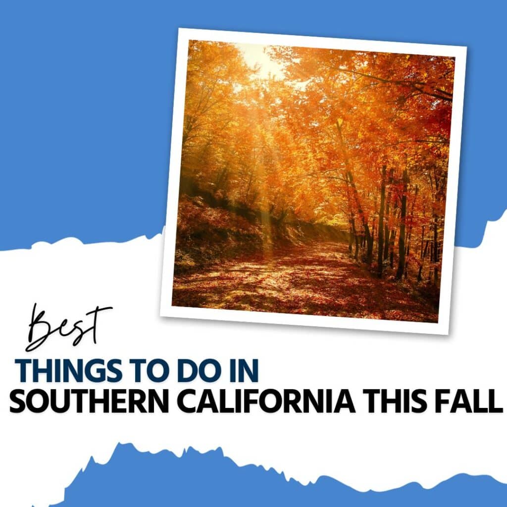 best things to do in southern california this fall