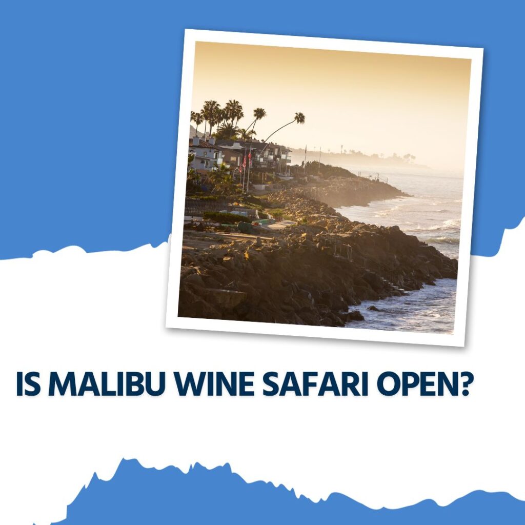 is malibu wine safari open?