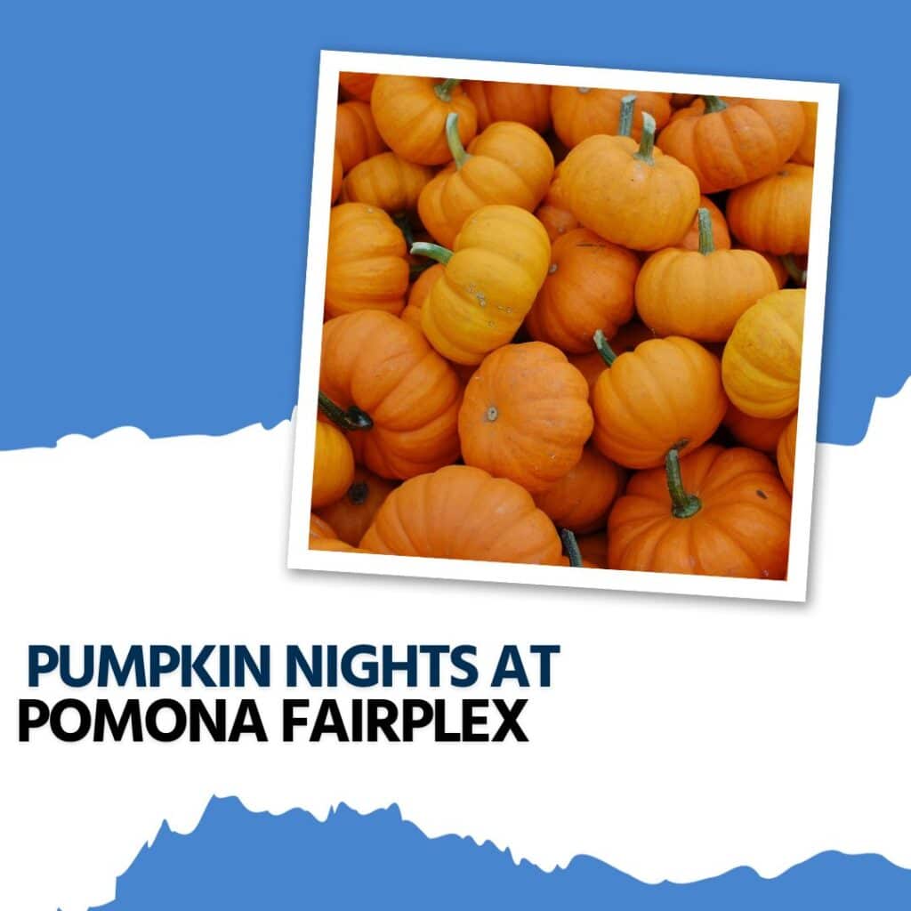 pumpkin nights at pomona fairplex