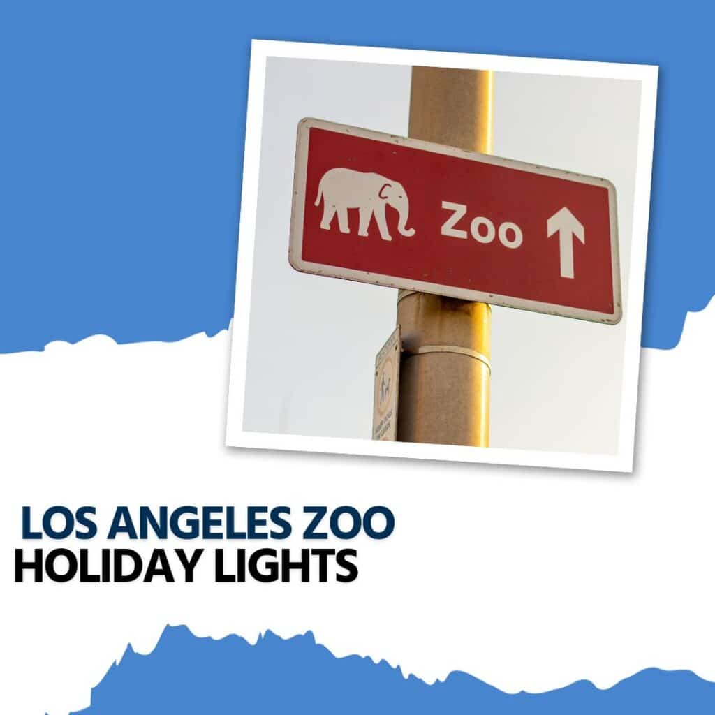 LA Zoo Holiday Lights