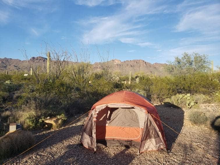 Camp Gilbert Ray Campground in Tucson