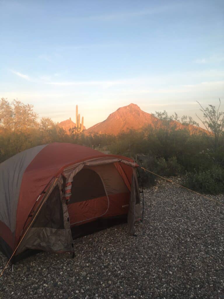 Camp Gilbert Ray Campground in Tucson, Arizona