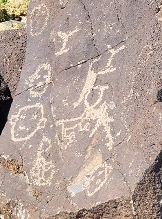 petroglyphs at Petroglyph National Monument in Albuquerque New Mexico - Piedras Marcadas Canyon Trail