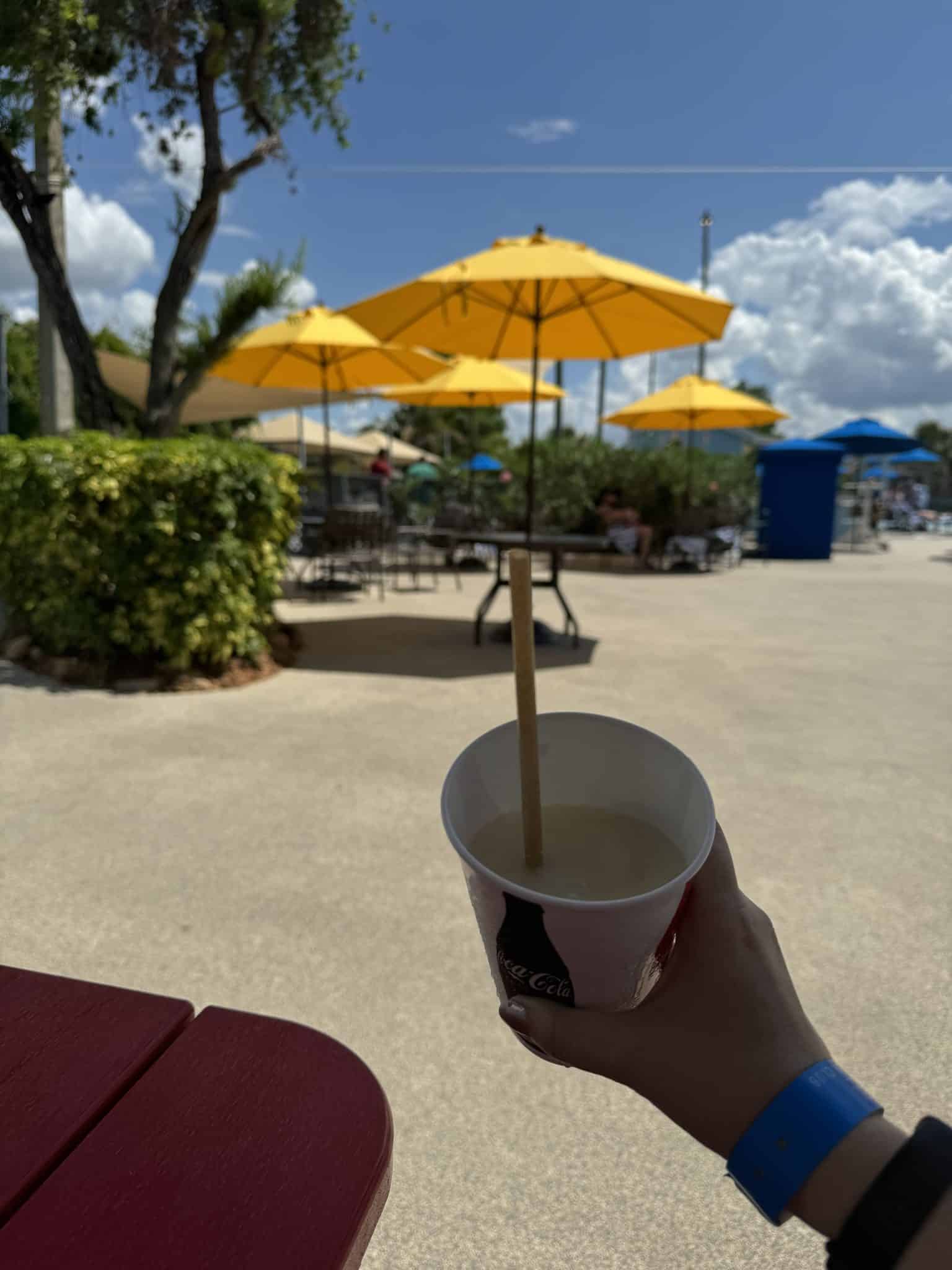 pina colada from the pool bar