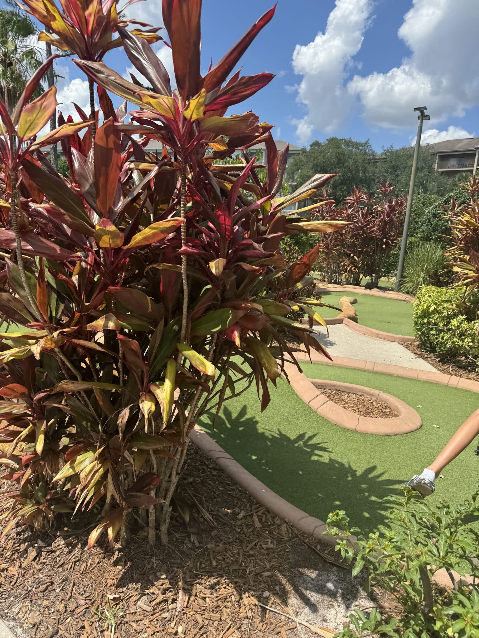 mini golf course at Aqua Sol