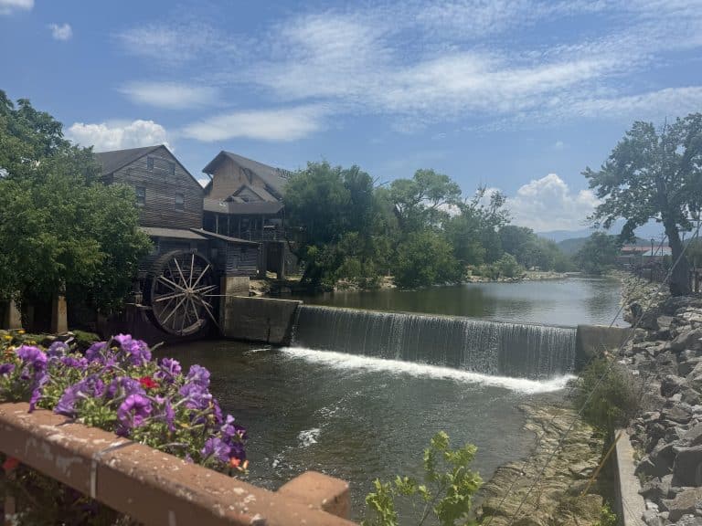 view of the waterfall and potted flowers next to the old mill
